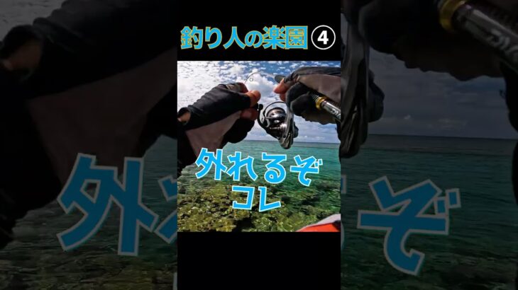 2023年 釣り人の楽園④ マジぃ？…#釣り #fishing #リーフフィッシング #宮古島