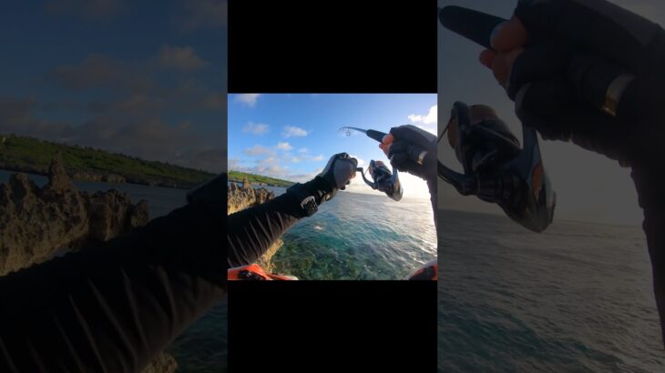 2023年 ヌキ #釣り #fishing #リーフフィッシング #宮古島