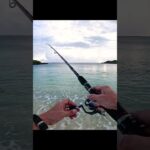 2023年 ムラモンちゃん❤︎ #釣り #fishing #ルアーフィッシング #サーフフィッシング #宮古島