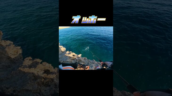 2023年 これじゃない感 #釣り #fishing #ショアジギング  #宮古島