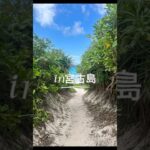 2023年 夏の思い出☺︎in宮古島#宮古島 #宮古島グルメ #リゾバ #思い出