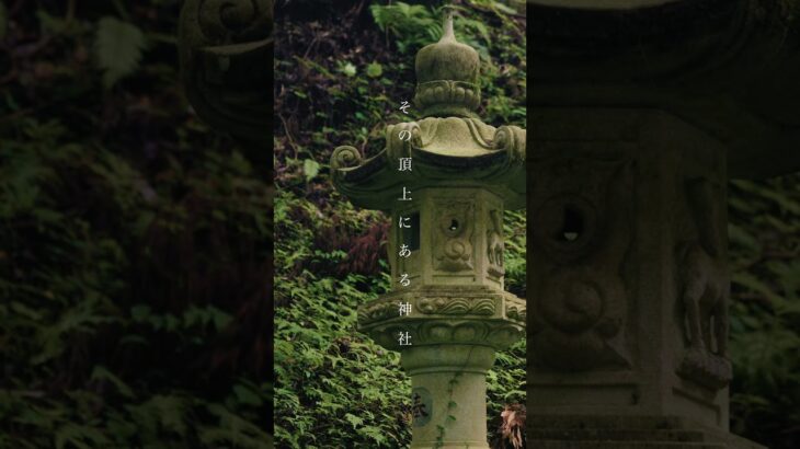 茨城の秘境神社。西砂金神社を訪ねて#西砂金神社 #茨城神社 #茨城の絶景 #神社巡り  #隠れた名所 #パワースポット #旅  #静かな時間 #旅する写真家 #茨城観光　#japantravel