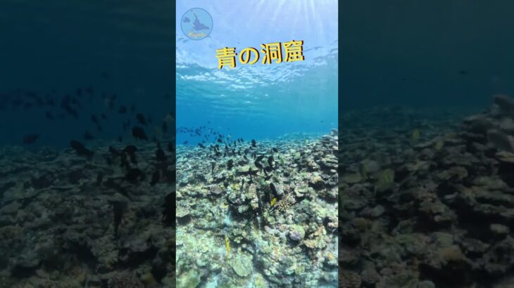 2023年 宮古島秘境巡禮_青之洞窟，帶您游進神秘的青洞～ #miyakojima #宮古島 #旅行 #青洞 #青之洞窟 #青の洞窟 #浮潛 #snorkeling #伊良部島 #Coral #珊瑚