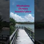 2023年 #miyakojima #travel #okinawa #beautifuldestinations #宮古島