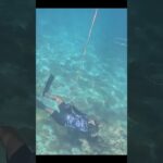 2023年 バブルリングを撃つ能力者、現る【宮古島】　#shorts