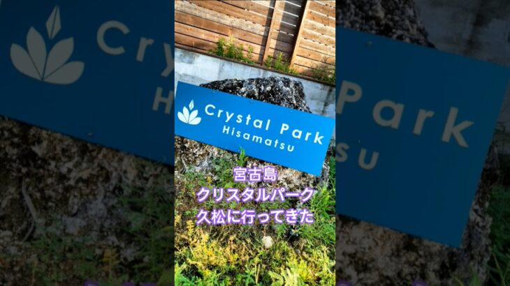 2023年 #クリスタルパーク久松#行ってきた#宮古島#プール付き#shorts #沖縄旅行