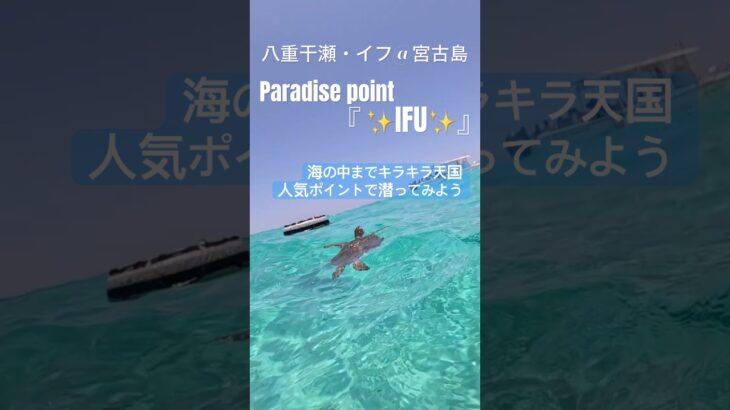 2023年 八重干瀬の天国ポイント「イフ」海の中もキラキラうっとり #skindiving #miyakojima #yabiji  #八重干瀬 #freediving #snorkel #underwater