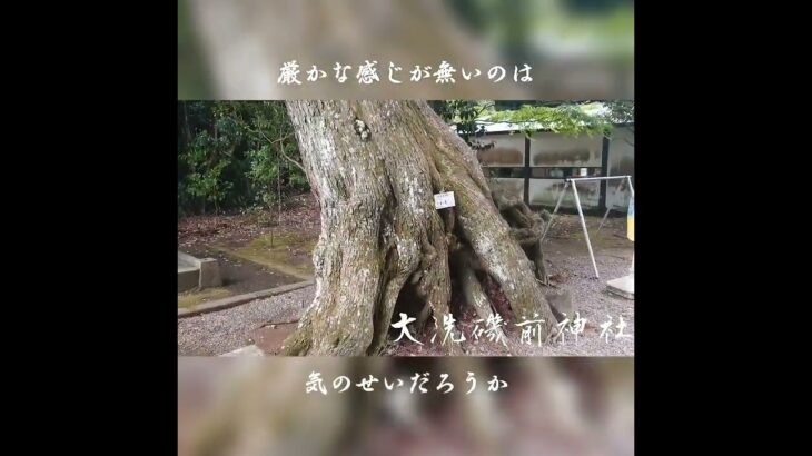 #大洗磯前神社 #ジンバル #神社 #神バル #茨城  #パワースポット #第六感 #旅行