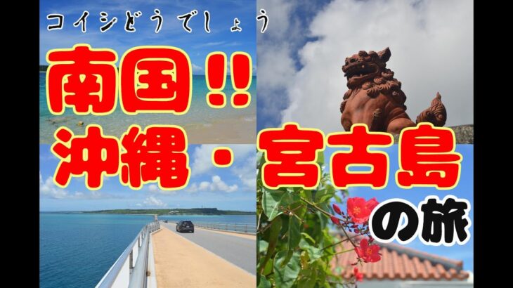 2023年 コイシどうでしょう～沖縄・宮古島の旅～