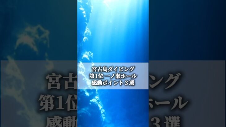 2023年 【感動ランキング】宮古島ダイビングポイント第一位　#ダイビング #ダイビングショップ