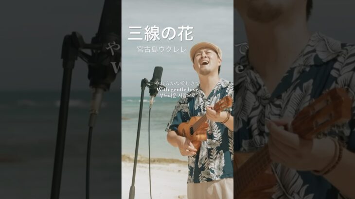 2023年 三線の花／宮古島ウクレレカバー 大好きな一曲です🏝️