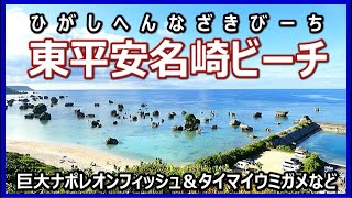 2023年 東平安名崎ビーチ　宮古島