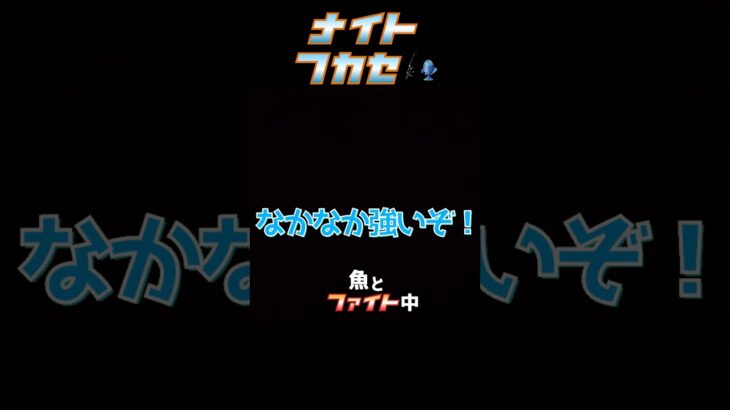 2023年 ベッタベタの凪 #釣り #フカセ釣り #夜釣り #宮古島 #ヒメフエダイ