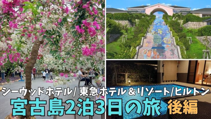 2023年 宮古島の美しい風景と贅沢な宿泊体験をお届けします！シーウッドホテル、東急ホテルでの滞在を通じて、来間大橋や来間島の絶景を堪能しました。ユートピアファームのブーゲンビリアは一押しのお薦めスポットです。