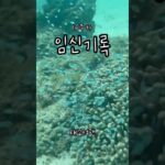 2023年 미야코지마 태교여행