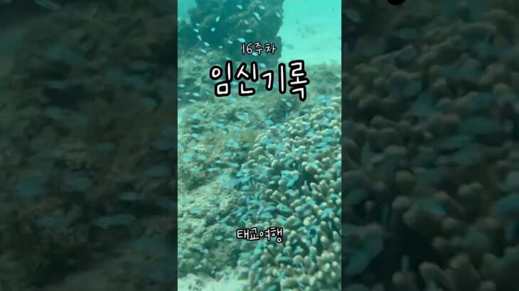 2023年 미야코지마 태교여행