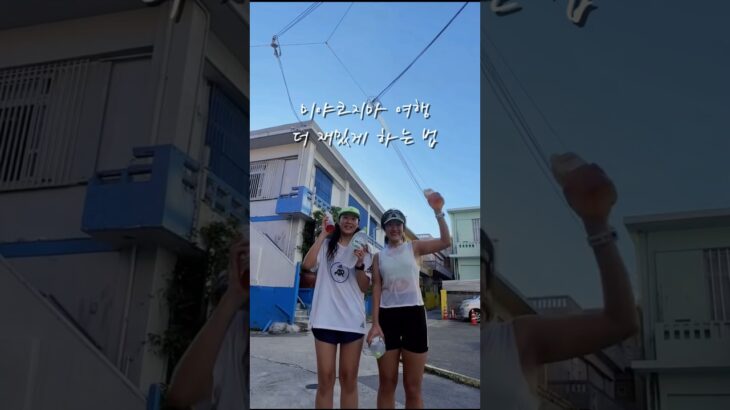 2023年 미야코지마 여행 더 재밌게 하는 법 알려드림