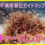 2023年 インギャーマリンガーデン　宮古島