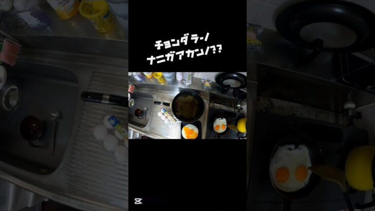 2023年 チョンダラーダメって(笑)#宮古島 #沖縄 #目玉焼き#油固めるやついっつも忘れる