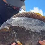 2023年 【乱舞】宮古島の磯からトカジャー釣り