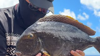2023年 【乱舞】宮古島の磯からトカジャー釣り