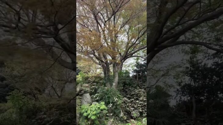 おとけしき　放浪記　茨城県　雨引観音　旅行　観光地