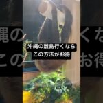 2023年 宮古島や石垣島とかの沖縄の離島に直行便で行ってる人絶対見て‼︎