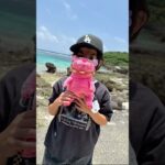 2023年 また宮古島行って思い出を作りたい！#毎日投稿