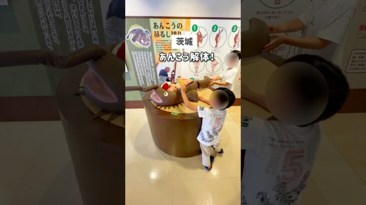 【茨城】あんこう解体!?穴場スポット　#茨城 #茨城県 　#茨城観光 #茨城旅行 #子連れ　#北茨城市 #よう・そろー