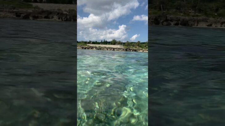 2023年 水族館みたいな宮古島の海