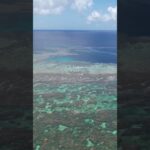 2023年 ドローンで撮った新城海岸✈️#vlog #宮古島 #ドローン #空撮
