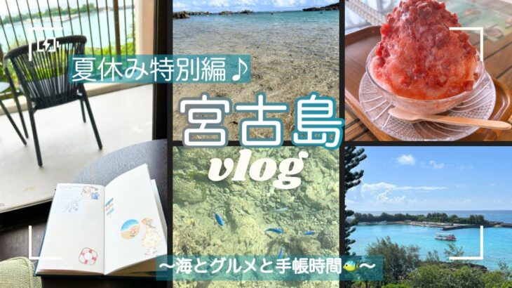2023年 【宮古島vlog】海の見えるホテルで手帳時間＆潜らず見れる熱帯魚🐠