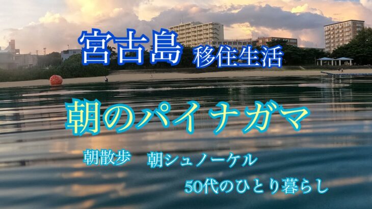 2023年 【vlog】宮古島移住生活🏝️朝のパイナガマ🐚朝散歩で見た風景と初パイシュノーケル🤿