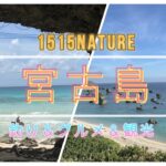 2023年 【1515nature】初めて宮古島に行ってきました。釣りと観光どちらもすごく楽しむ事が出来ましたhttps://youtu.be/YvG87zOzpWM