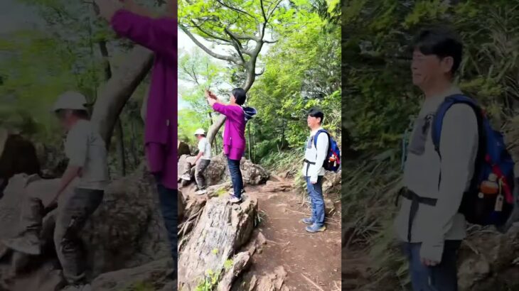 地球で多分1番のパワースポット#shorts #short #茨城 #子供 #面白動画 #ネコ #ガンスミスプログラム #水戸 #ねこのいる生活 #猫 #funny #cat #kids #グルメ