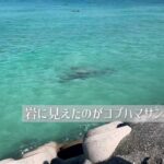 2023年 【宮古島2日目午前中】まったり伊良部観光🚗🌉⛰️
