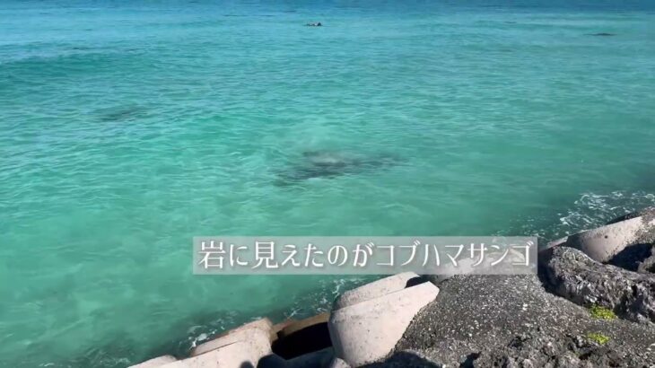2023年 【宮古島2日目午前中】まったり伊良部観光🚗🌉⛰️