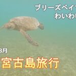 2023年 【ウミガメ】2025夏の宮古島旅行 ～1日目～【わいわいビーチ】