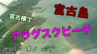 2023年 宮古島　アラグスクで海ガメとクマノミに会いました　2025 7　＃1　４Ｋ