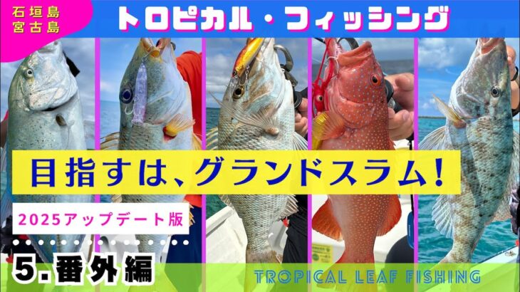 2023年 【石垣島・宮古島の釣り】目指すはグランドスラム/2025アップデート版/ライトゲーム