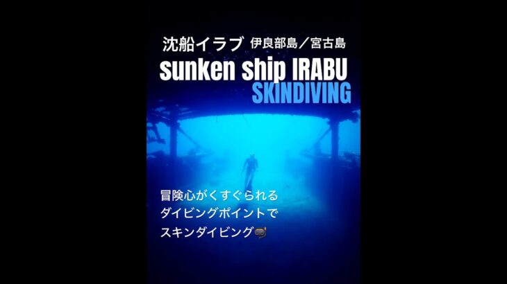 2023年 2025.9宮古島☆スキンダイビングで探検！沈船イラブ！　 #skindiving #miyakojima #yabiji  #freediving #snorkel #underwater