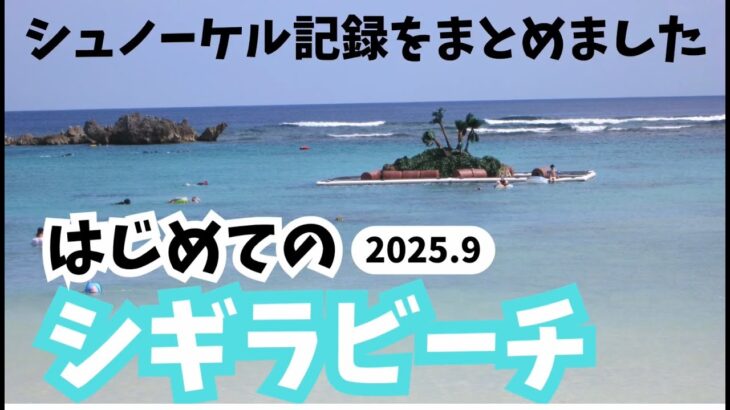 2023年 【宮古島旅行】初めての宮古島‼️シュノーケル記録をまとめました♪手ブレがひどいので注意しながら観てください。2025.9#シュノーケル#宮古島#miyakojima#vlog#宮古ブルー#シギラビーチ
