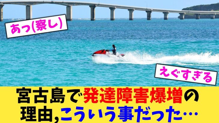 2023年 宮古島で発達障害爆増の理由,こういう事だった…【2chまとめ】【2chスレ】【5chスレ】