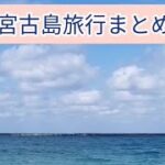 2023年 【宮古島まとめ】海・観光・グルメ・猫！全部楽しむ3分旅