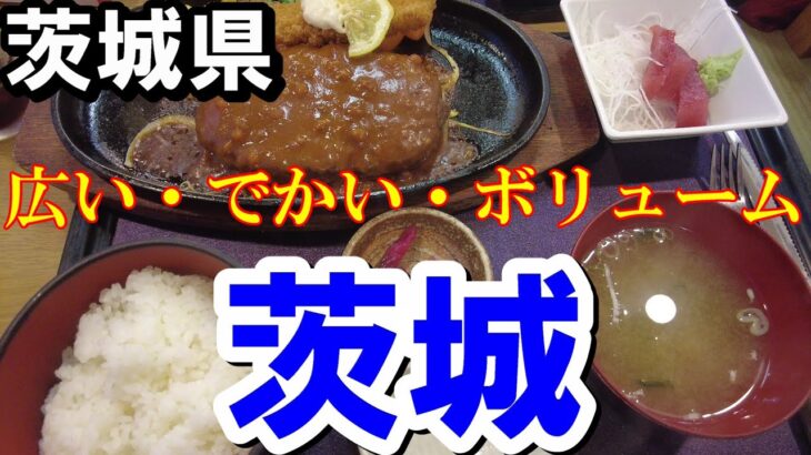 【茨城散歩】茨城県をぶらり旅【トッキ―二ひょう助の旅第313話】