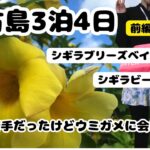 2023年 【宮古島3泊4日】9月の宮古島は最高でした♪①#宮古島#沖縄県#シギラブリーズベイマリーナ#シギラビーチ#宮古島シュノーケル#サンゴ礁#マリンスポーツ#宮古島vlog#ウミガメ#バカンス