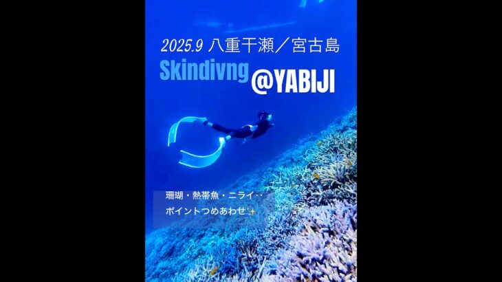 2023年 海況抜群！9月の八重干瀬　#skindiving #miyakojima #yabiji  #八重干瀬 #freediving #snorkel #underwater #coral #宮古島 #沖縄