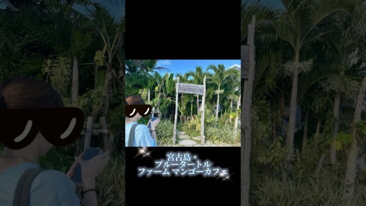 2023年 宮古島 ブルータートル ファーム マンゴーカフェ #沖縄 #宮古島 #ブルータートルファームマンゴーカフェ #Blue Turtle Farm Mango Cafe #マンゴーパフェ