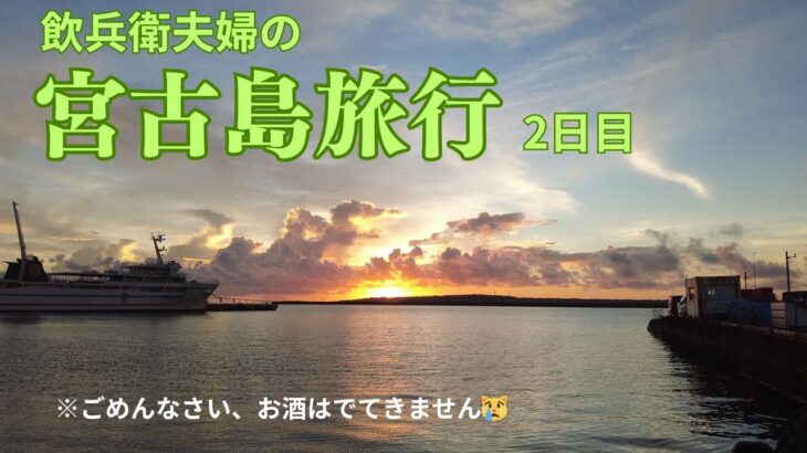 2023年 【アラフォーDINKs飲兵衛夫婦】宮古島旅行2日目（インギャーマリンガーデン・島cafeとぅんからや・与那覇前浜ビーチ・夕日・東平安名崎で星空）