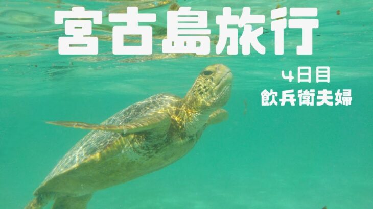 2023年 【アラフォーDINKs飲兵衛夫婦】宮古島旅行4日目（DOUG’S BURGER・新城海岸（ウミガメ）・串揚げと島おでん　くしお）